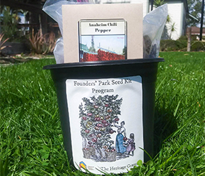 Preschool Storytimes